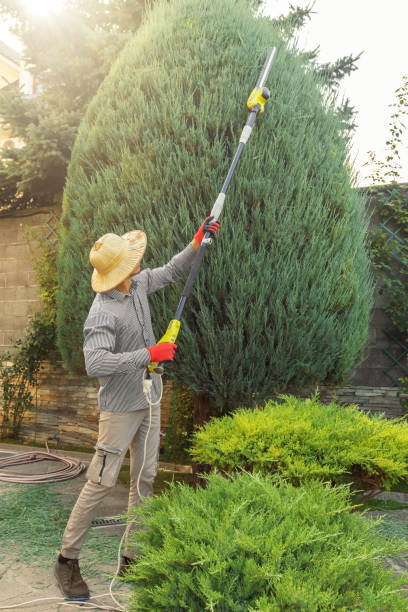 Best Firewood Processing and Delivery  in Vla Grove, IL